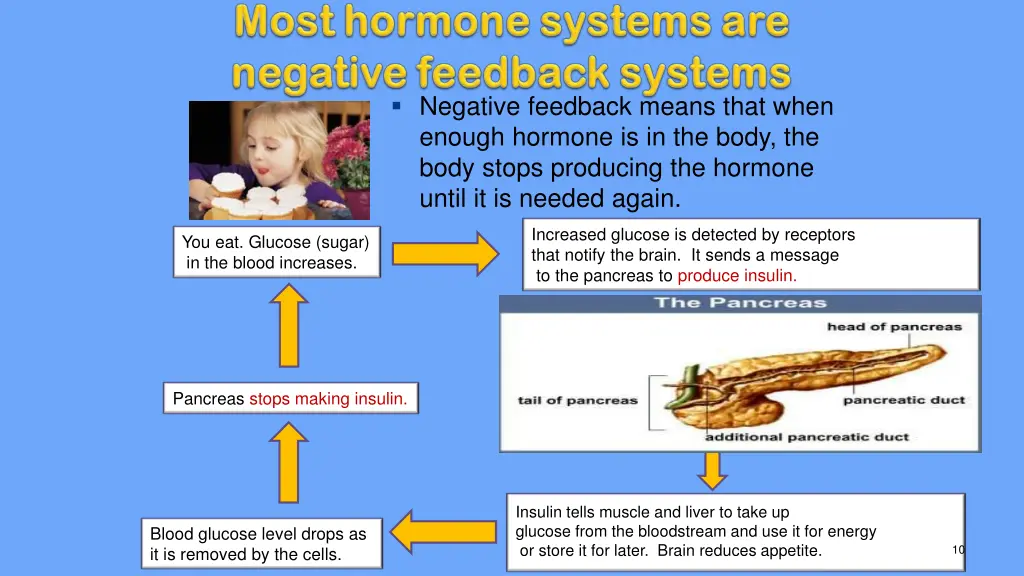 negative feedback means that when enough hormone