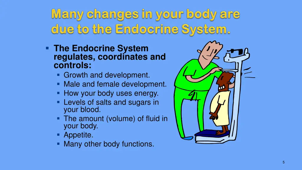 the endocrine system regulates coordinates