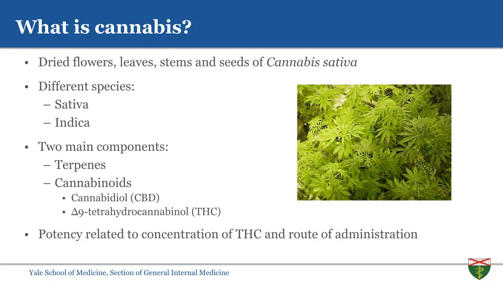 what is cannabis