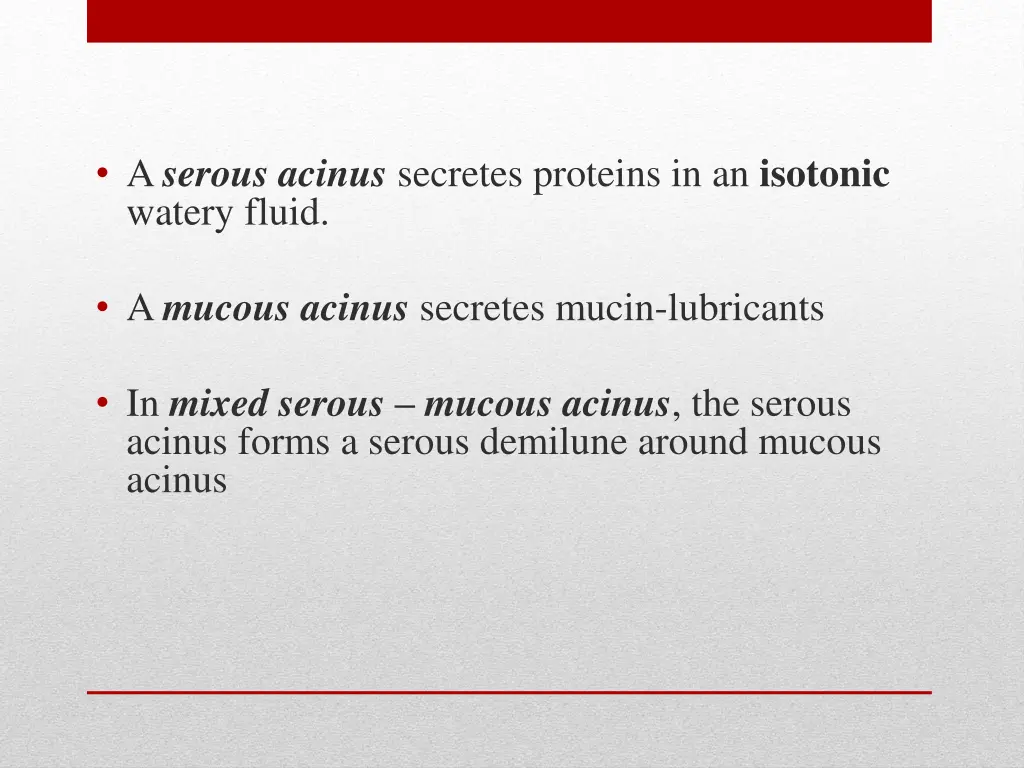 a serous acinus secretes proteins in an isotonic