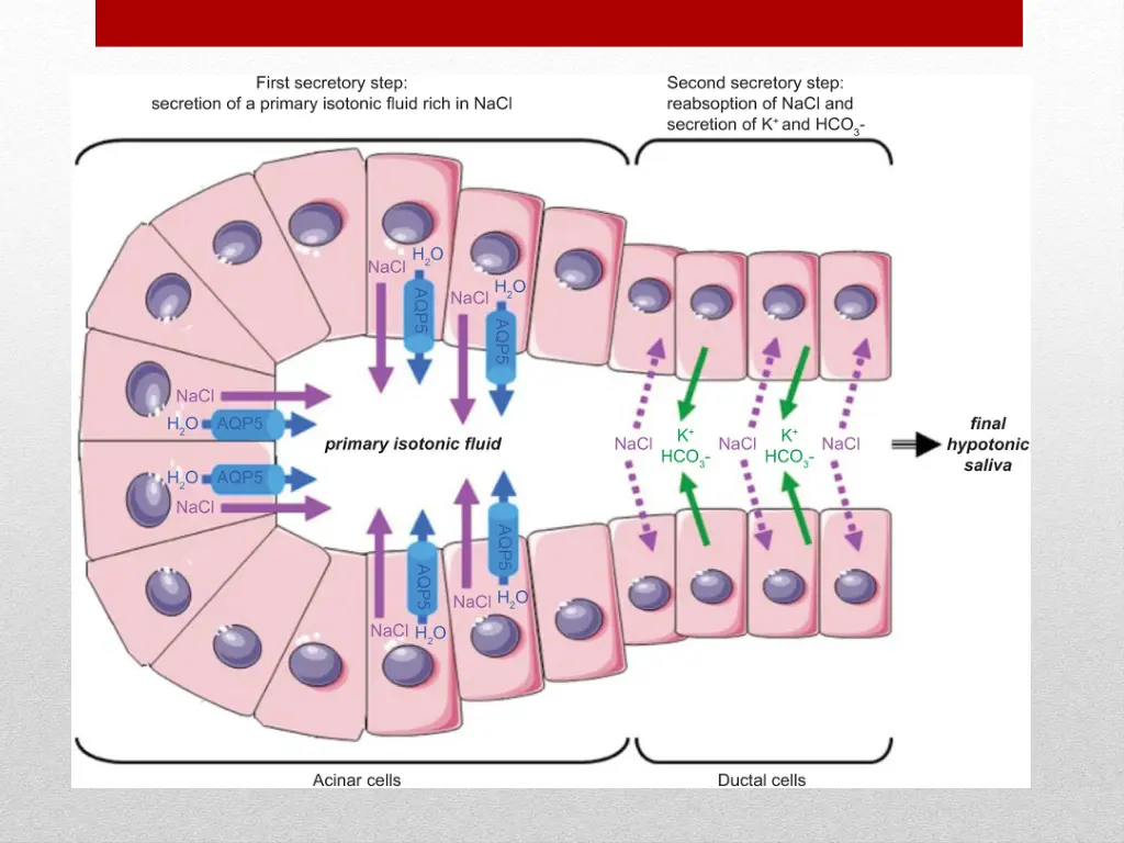 slide13