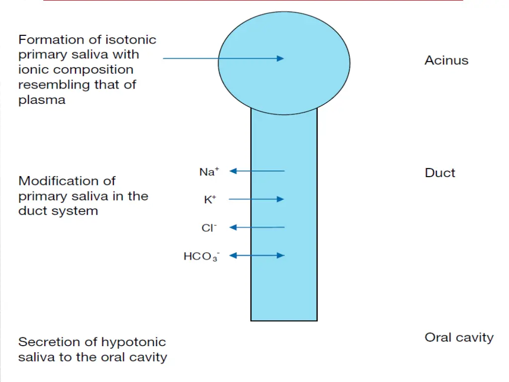 slide25