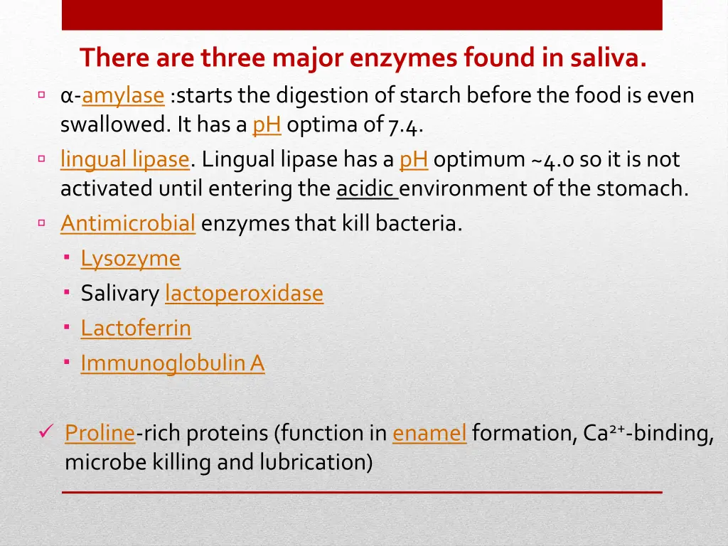 there are three major enzymes found in saliva