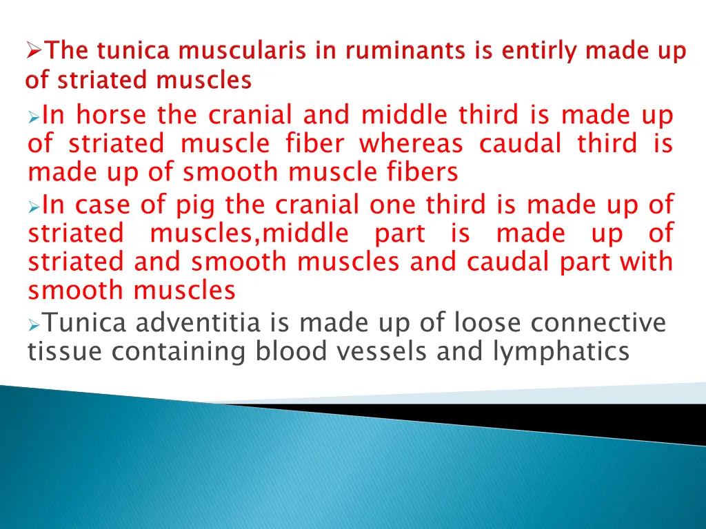 in horse the cranial and middle third is made