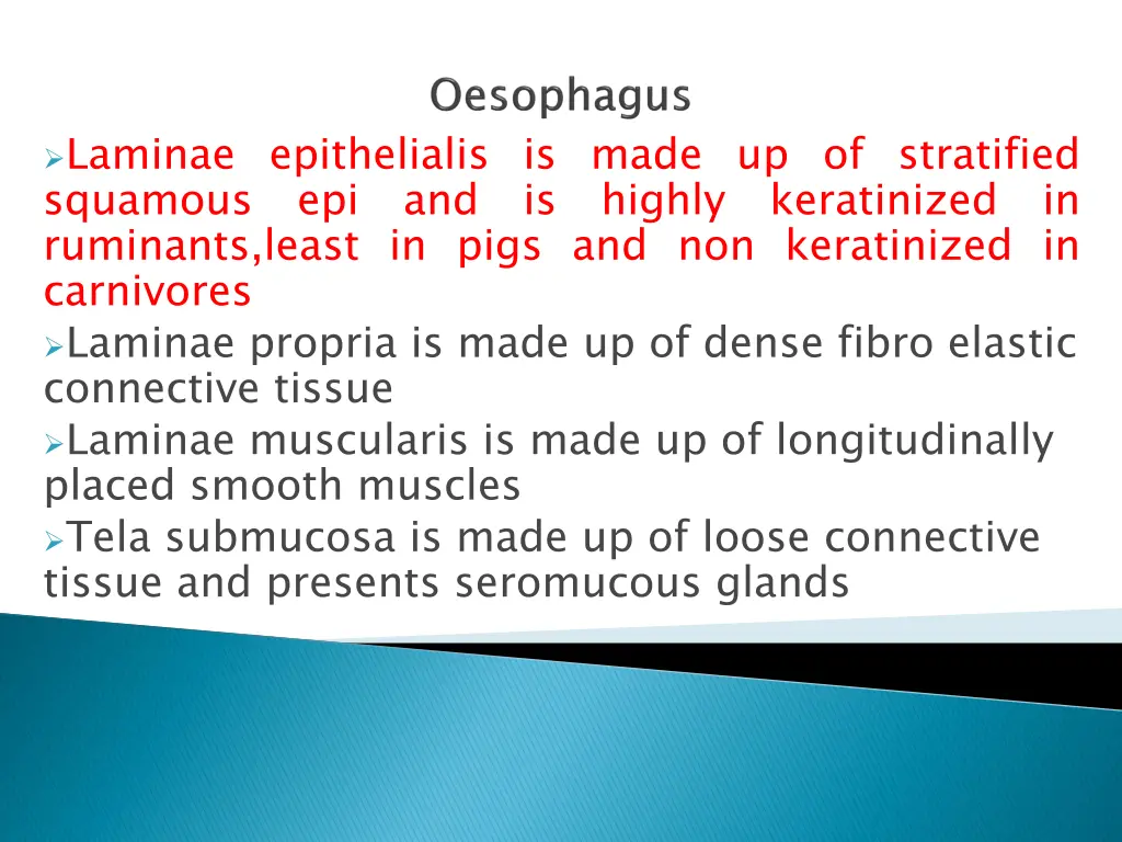 laminae epithelialis is made up of stratified