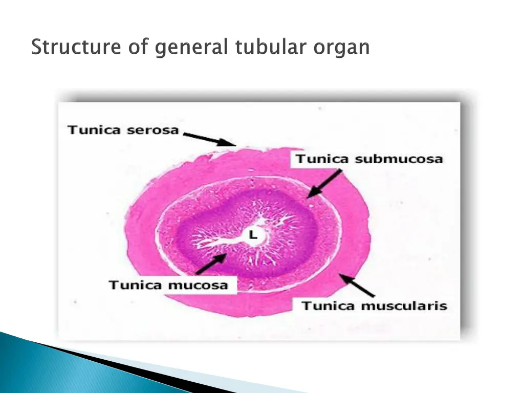 slide10