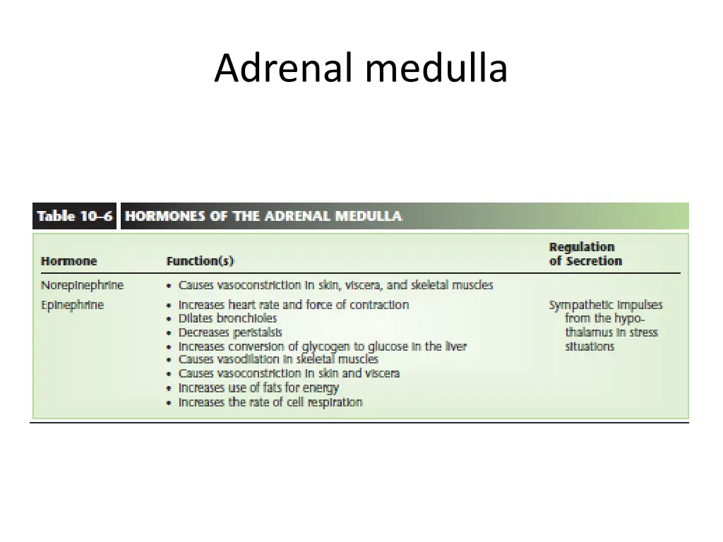 adrenal medulla