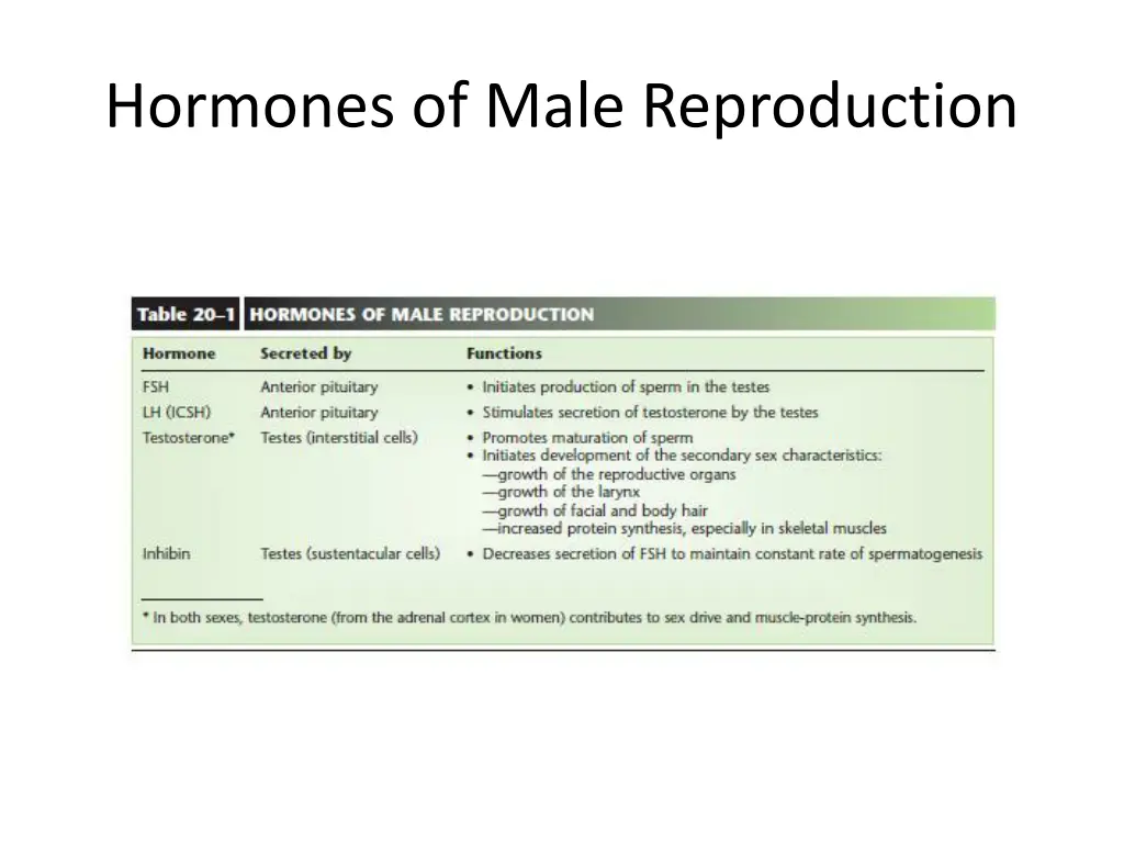 hormones of male reproduction