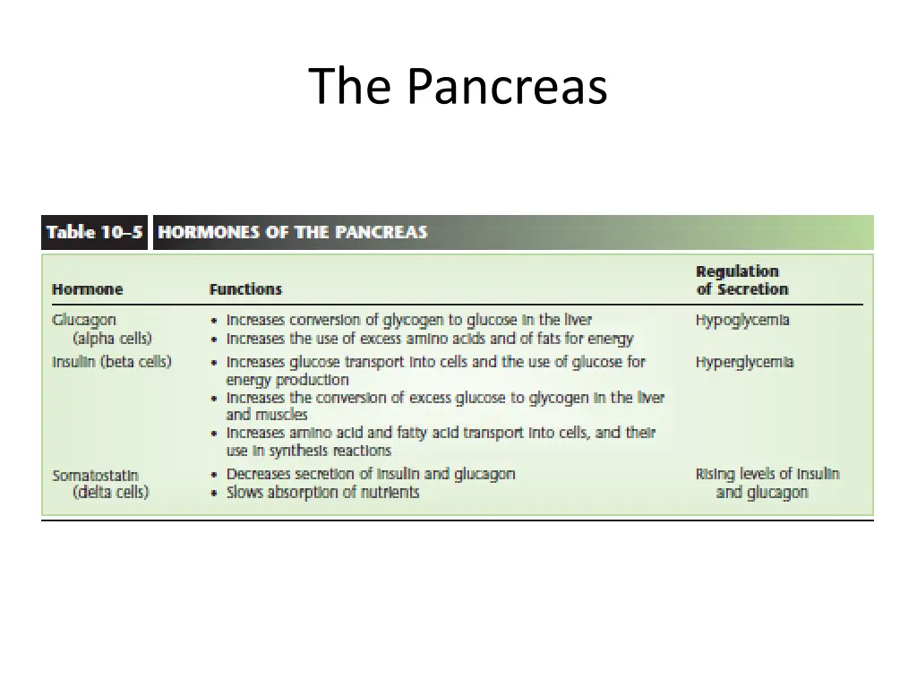 the pancreas