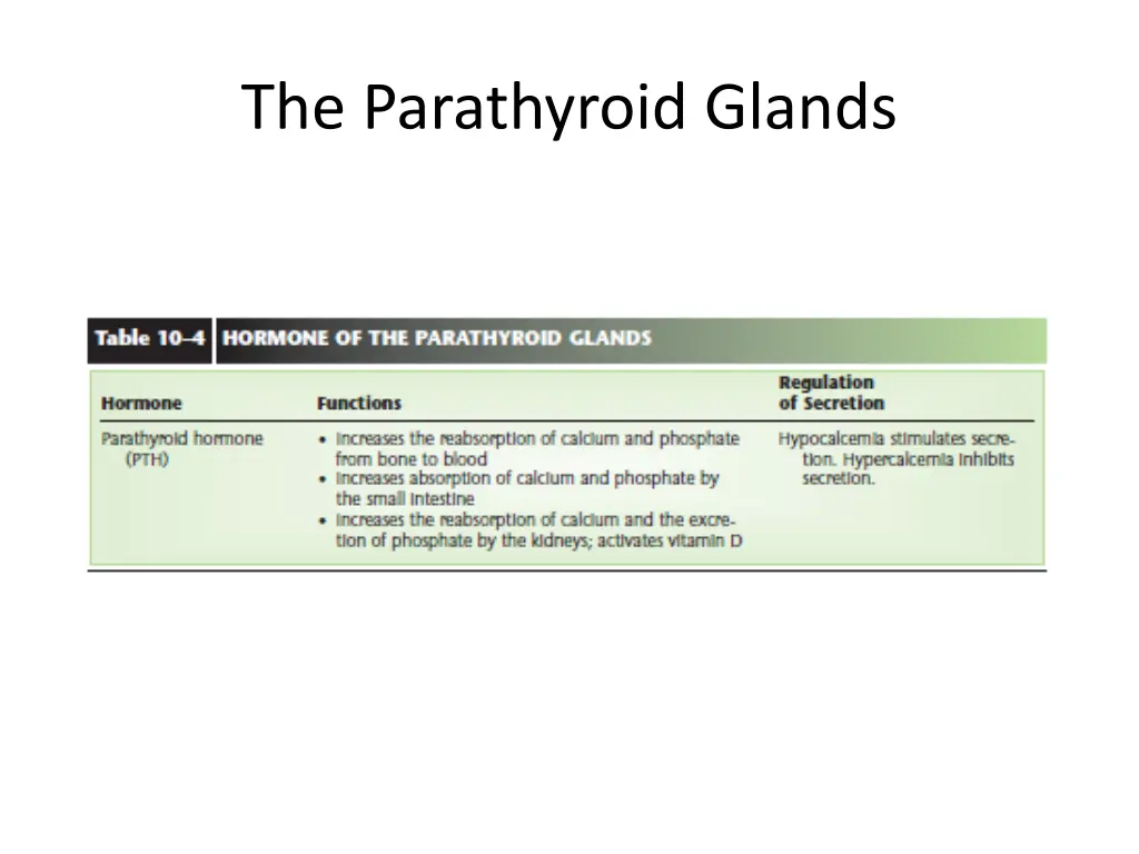 the parathyroid glands