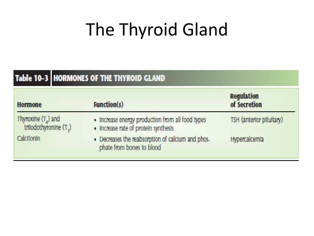 the thyroid gland