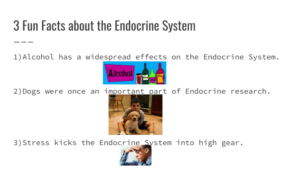 3 fun facts about the endocrine system