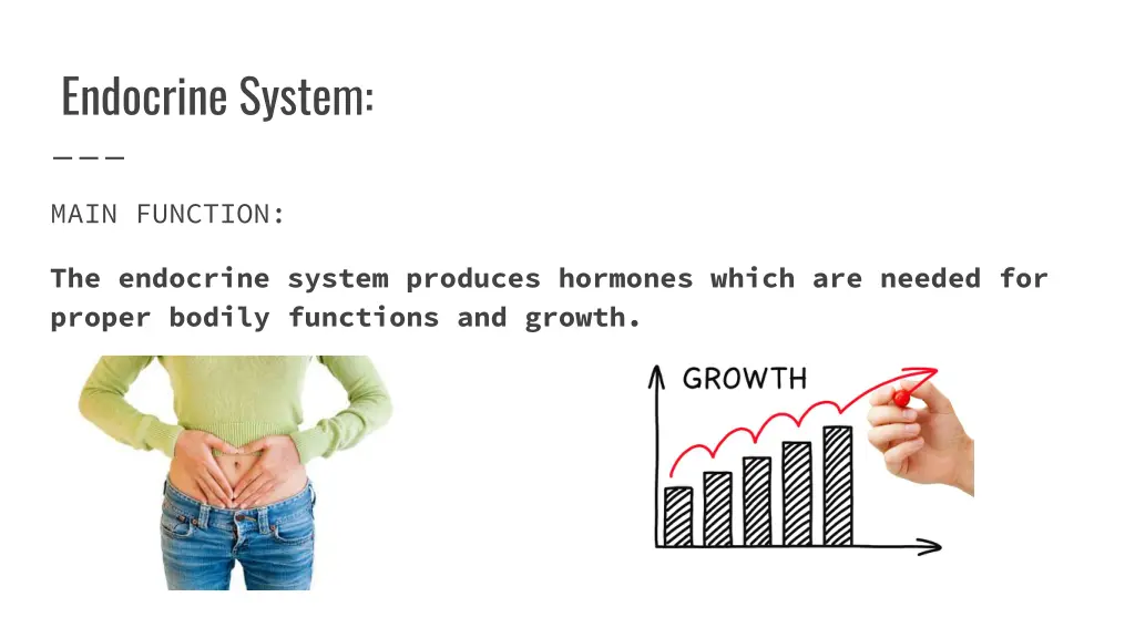 endocrine system 1