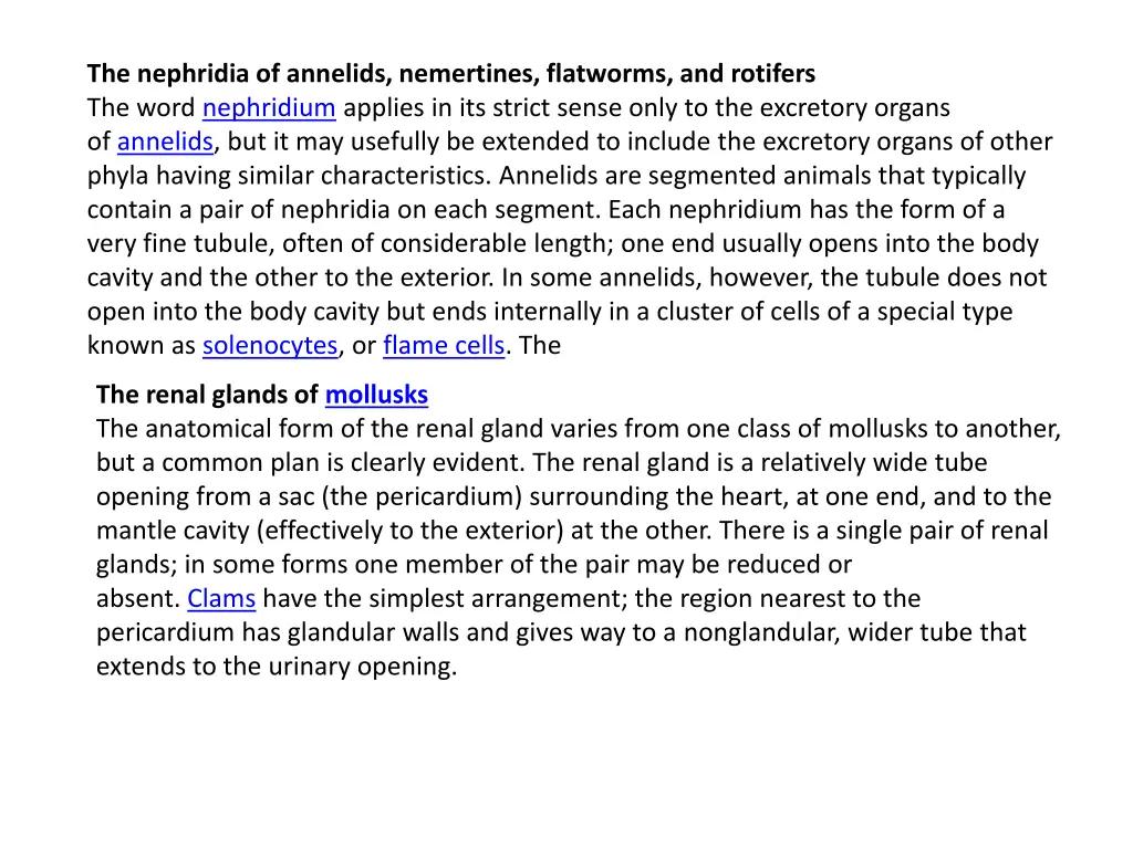 the nephridia of annelids nemertines flatworms