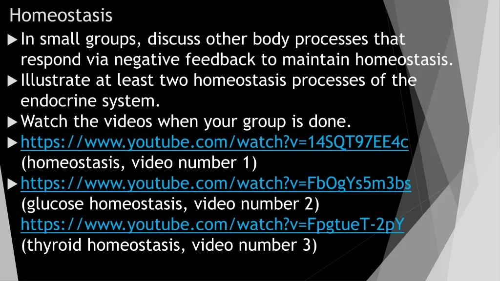 homeostasis in small groups discuss other body