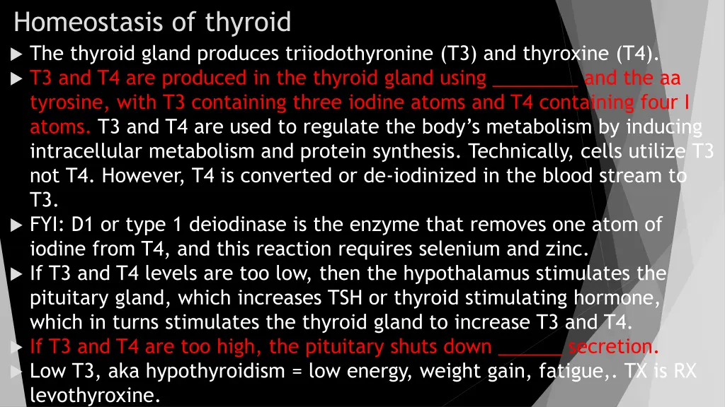 homeostasis of thyroid the thyroid gland produces