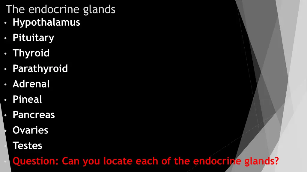 the endocrine glands hypothalamus pituitary