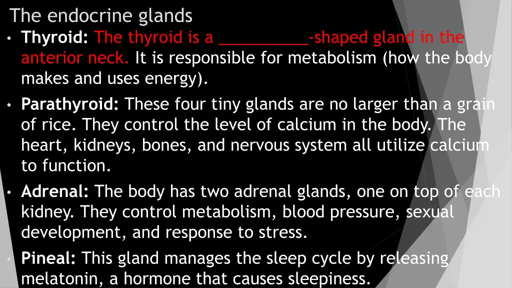 the endocrine glands thyroid the thyroid