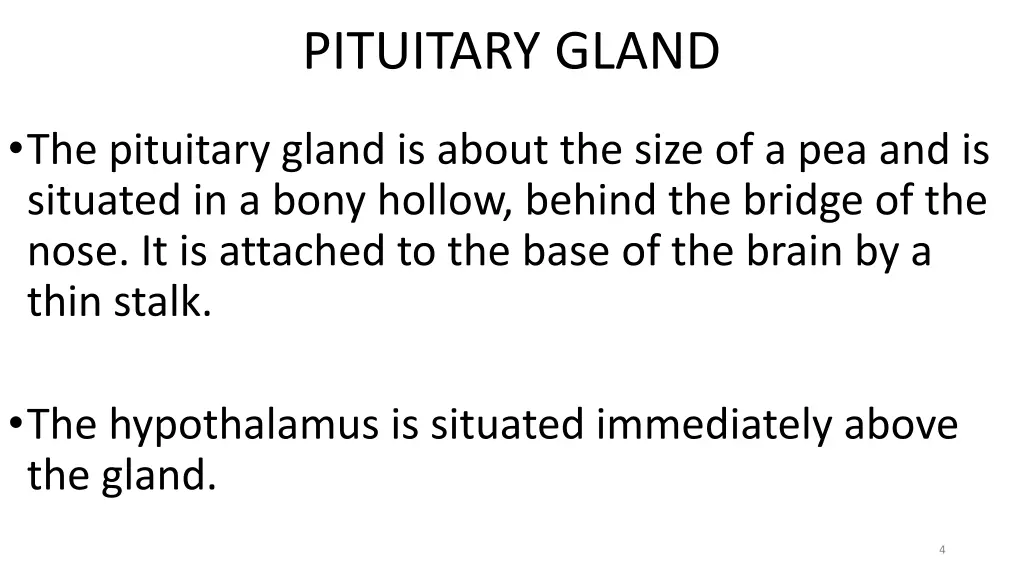 pituitary gland