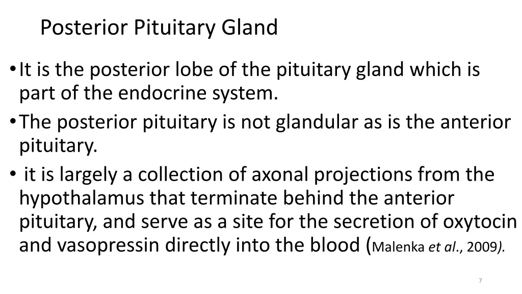 posterior pituitary gland