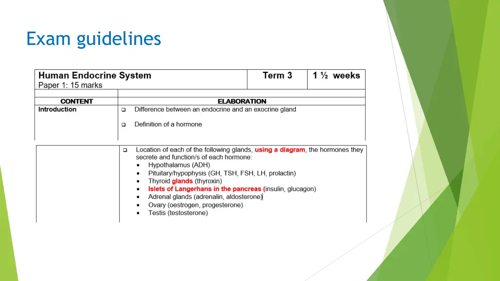 exam guidelines