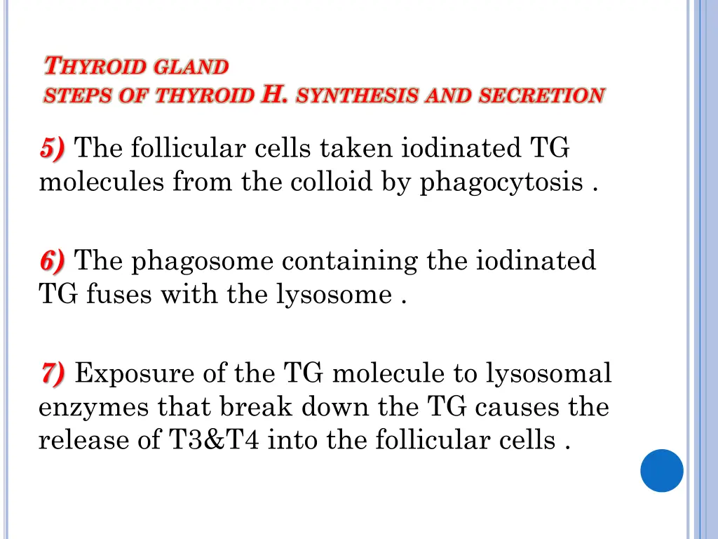 t hyroid gland steps of thyroid h synthesis 2