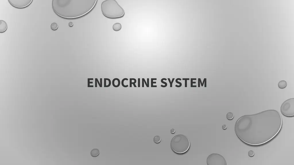 endocrine system