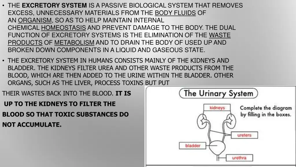 the excretory system is a passive biological