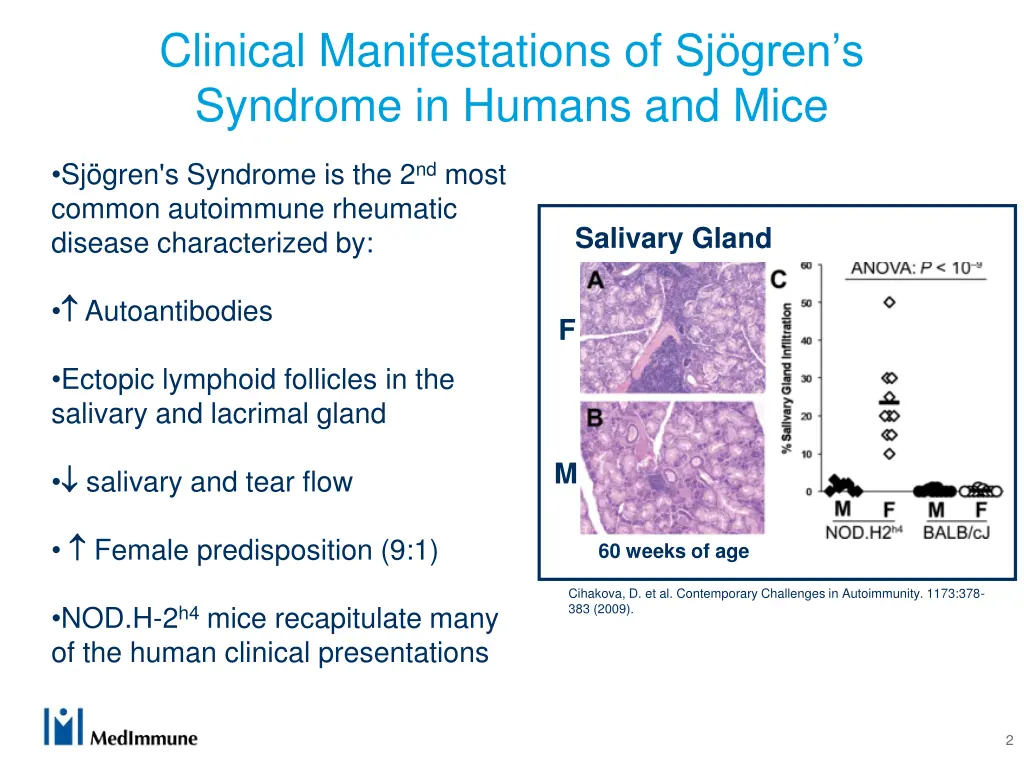 clinical manifestations of sj gren s syndrome