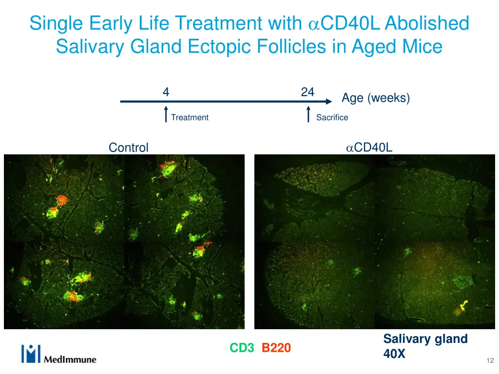 single early life treatment with cd40l abolished