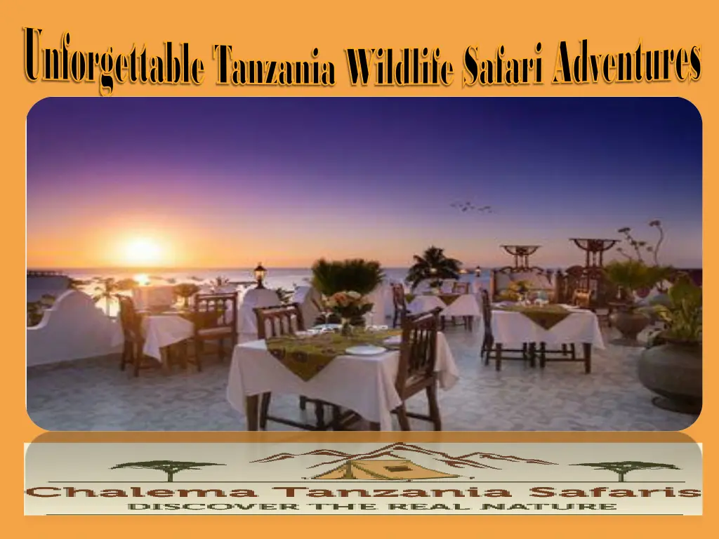 unforgettable tanzania wildlife safari adventures 1