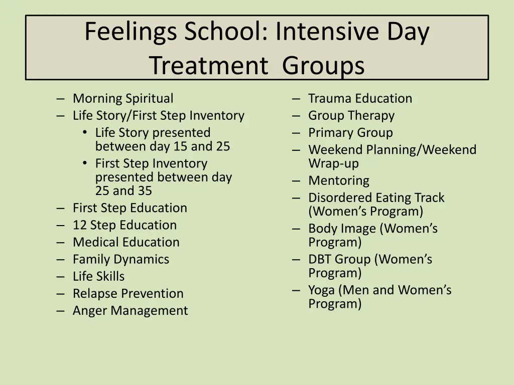 feelings school intensive day treatment groups