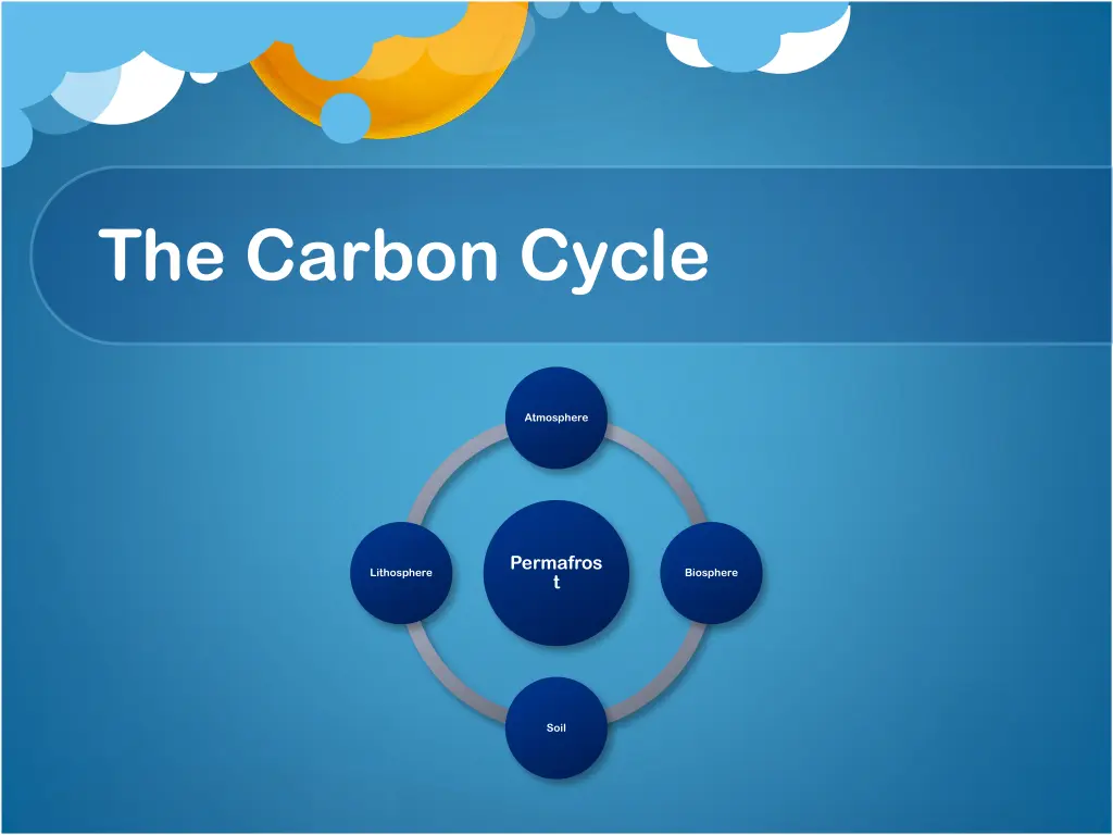 the carbon cycle