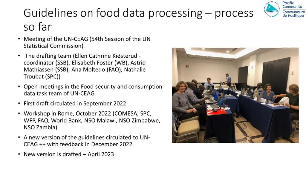 guidelines on food data processing process