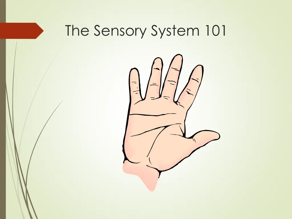 the sensory system 101