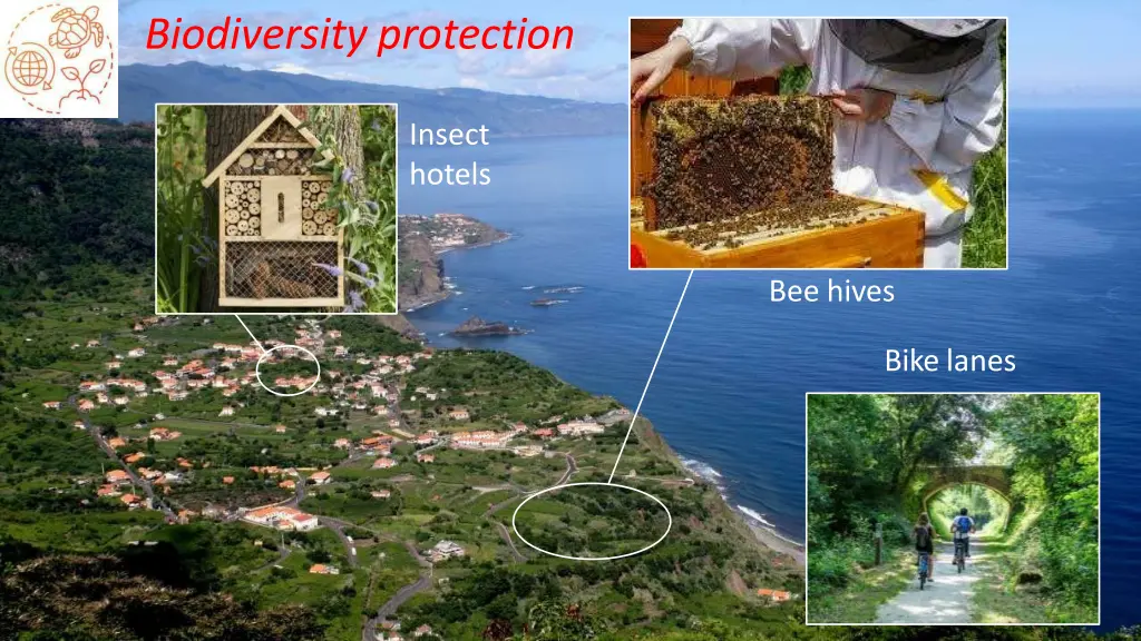 biodiversity protection