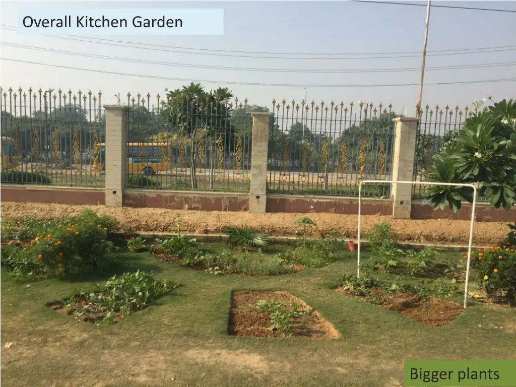 overall kitchen garden