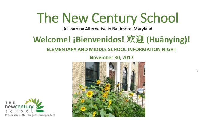 the new century school the new century school