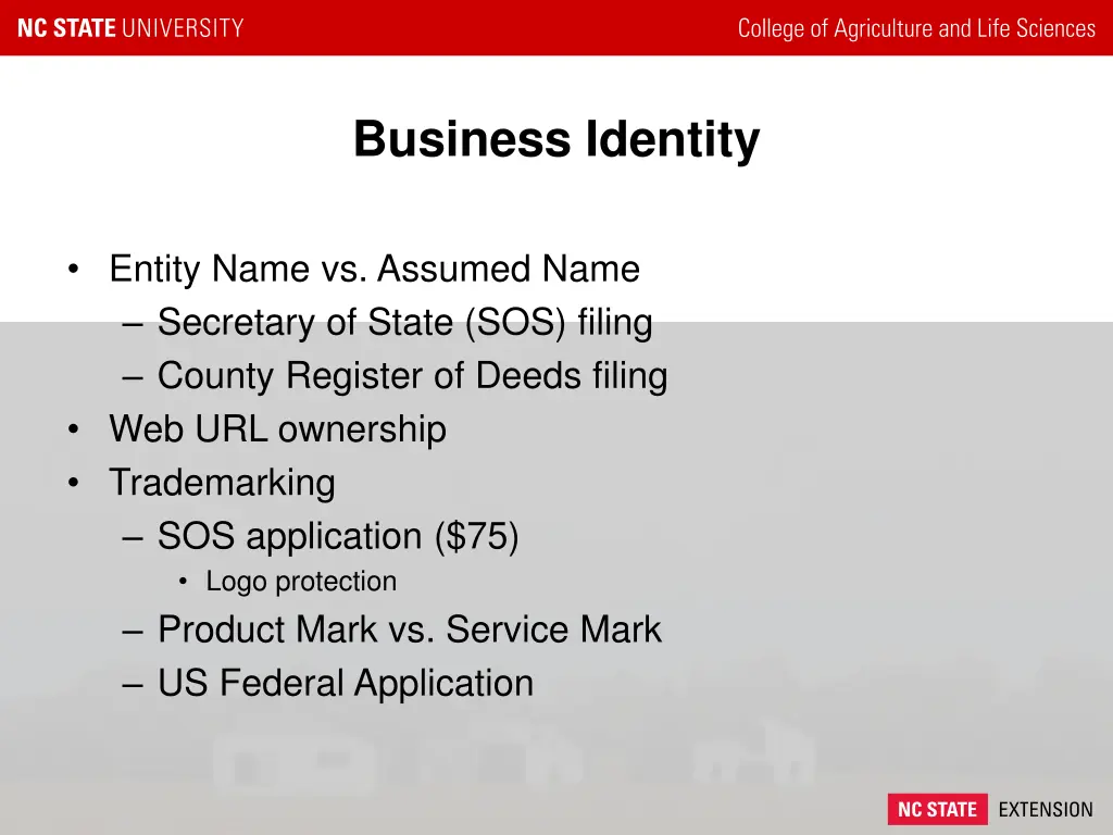 business identity