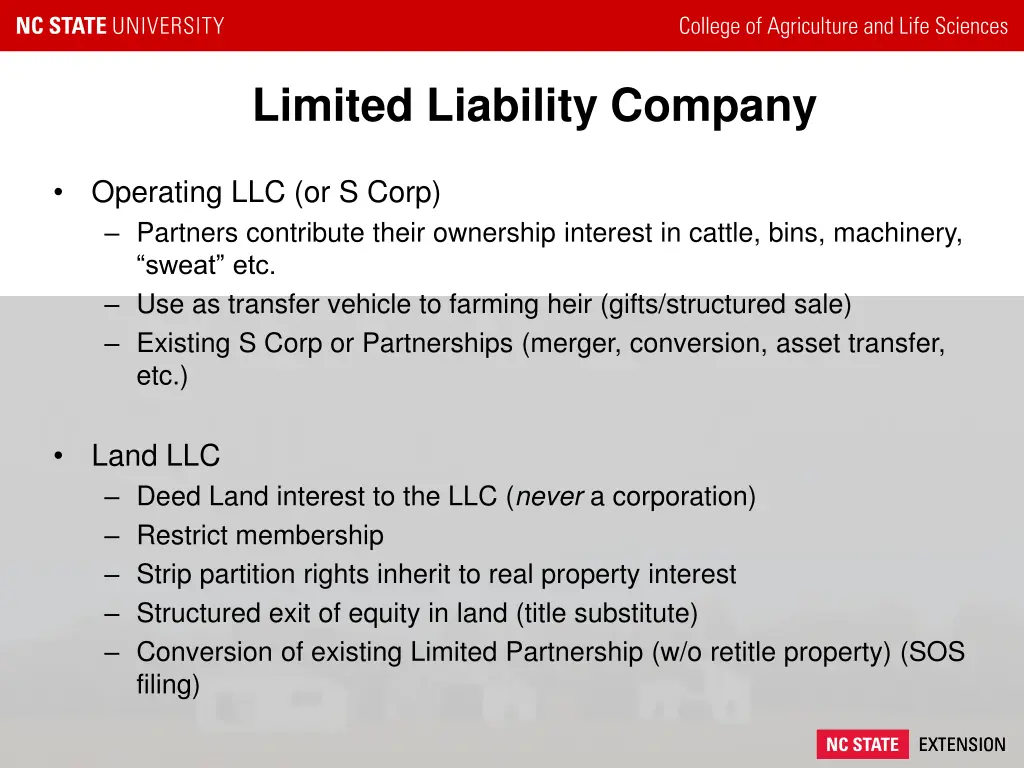 limited liability company