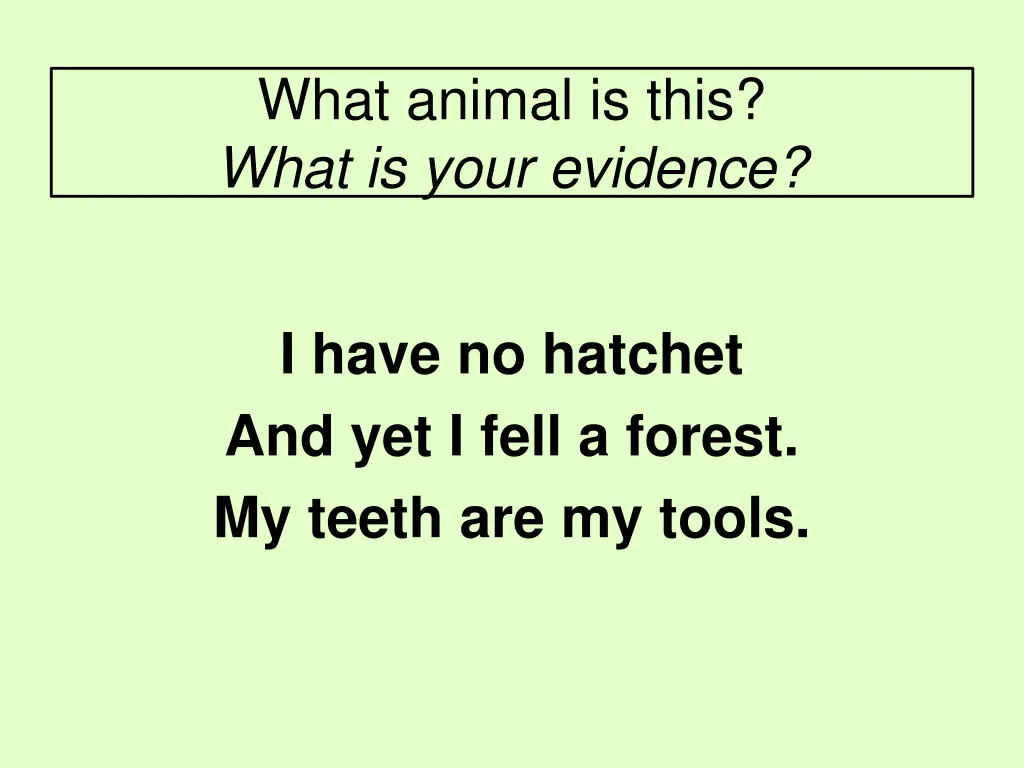 what animal is this what is your evidence 2