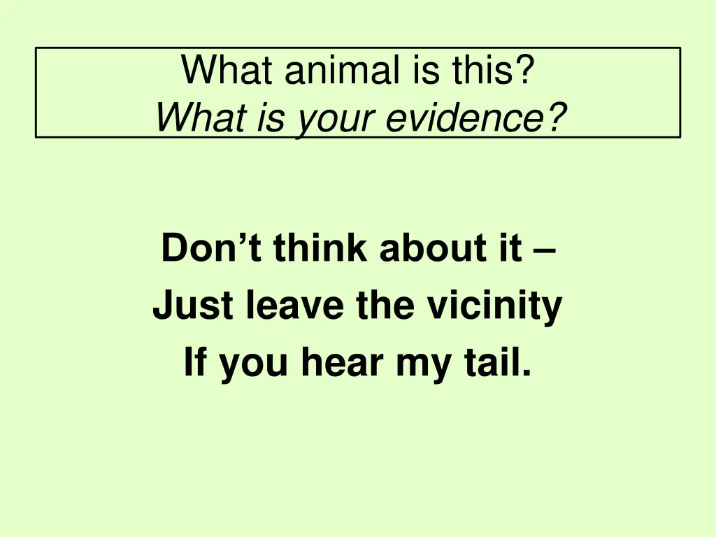 what animal is this what is your evidence 4