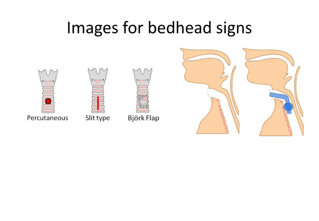 images for bedhead signs