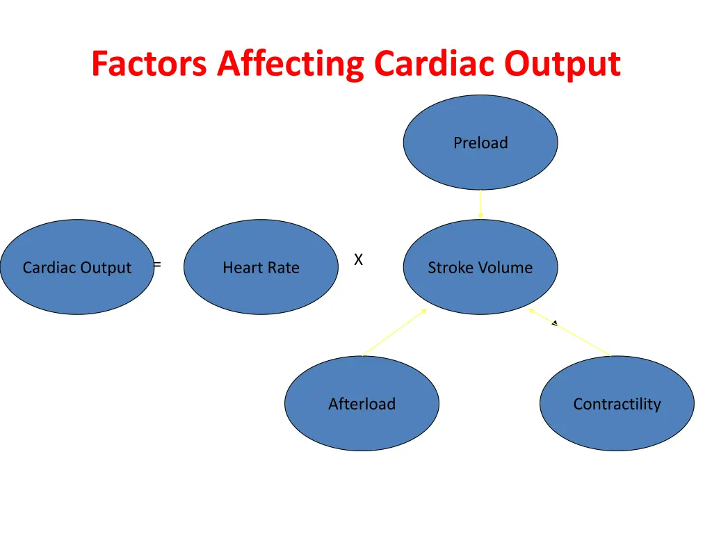 factors affecting cardiac output