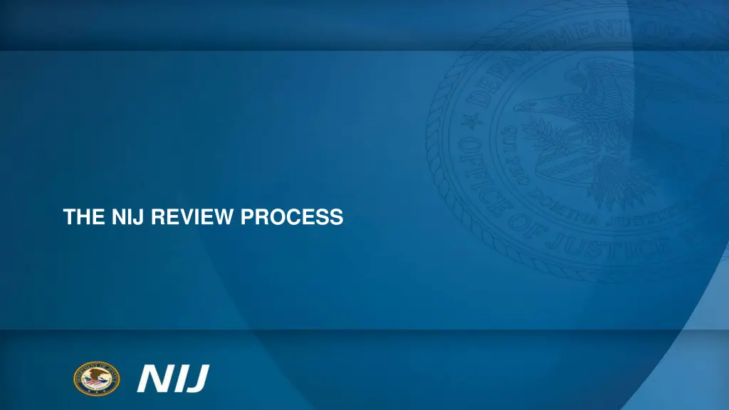 the nij review process