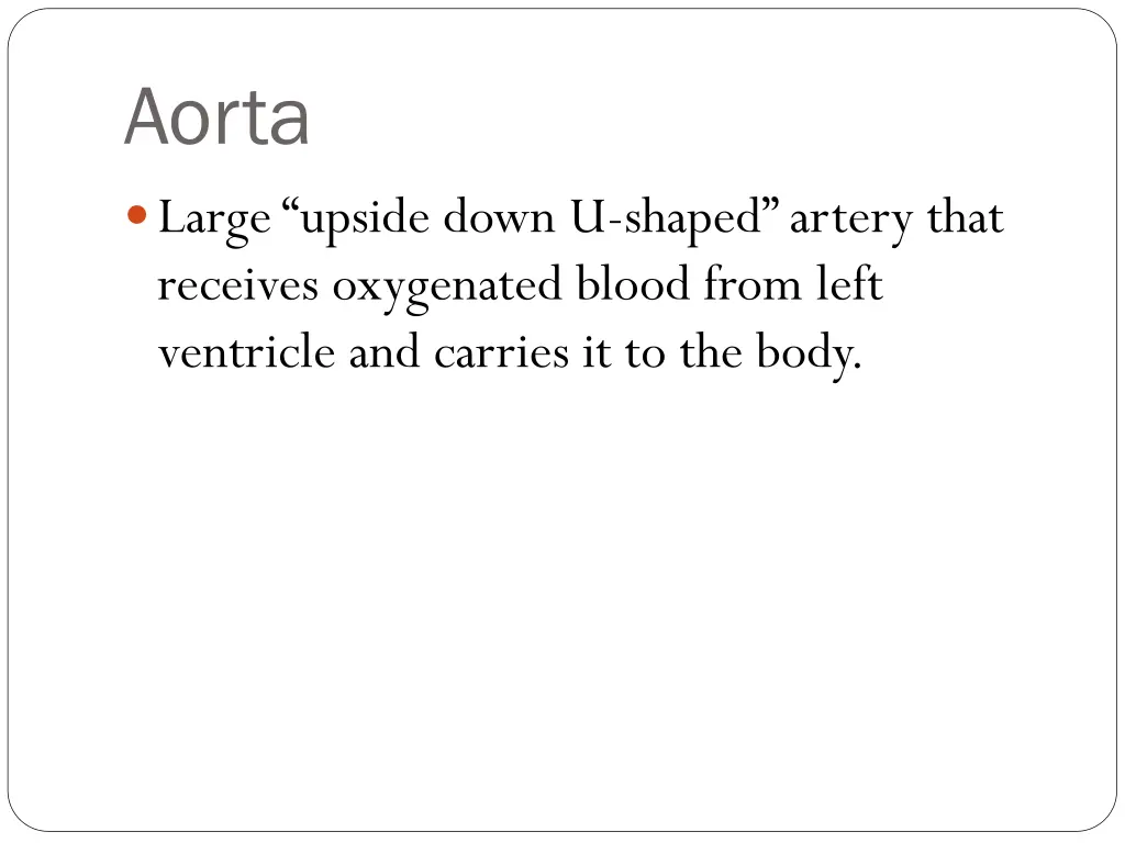 aorta large upside down u shaped artery that