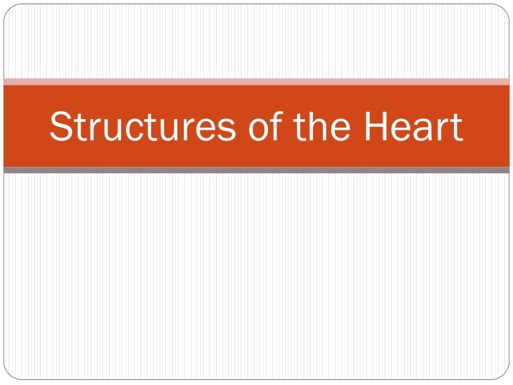 structures of the heart