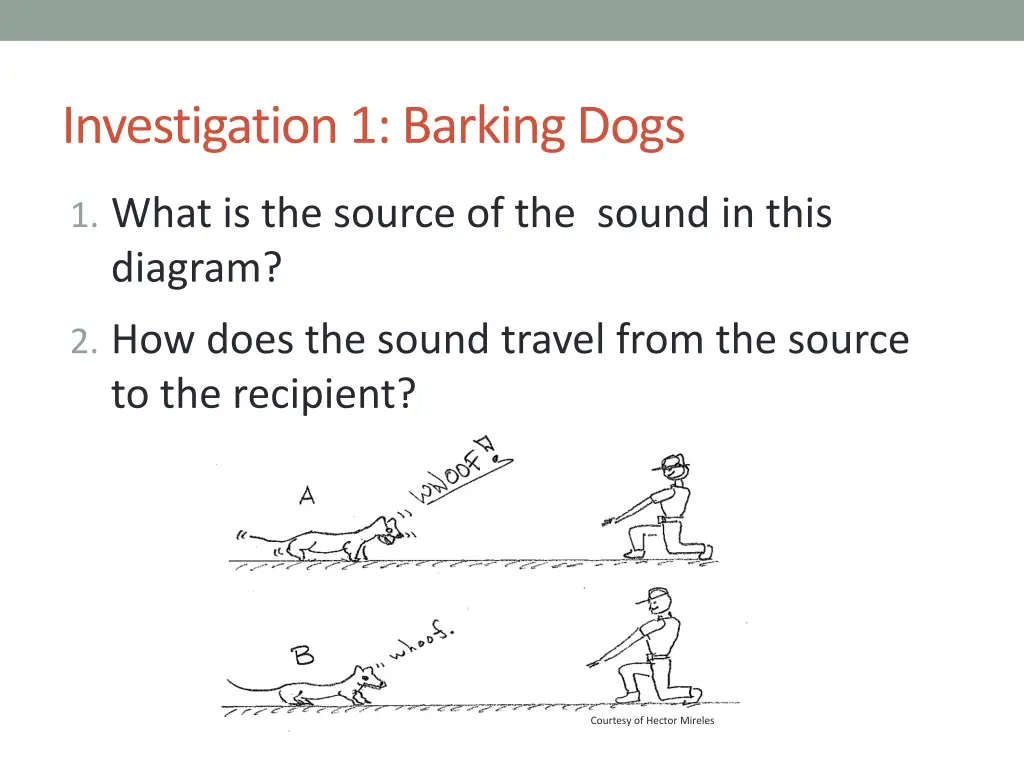 investigation 1 barking dogs