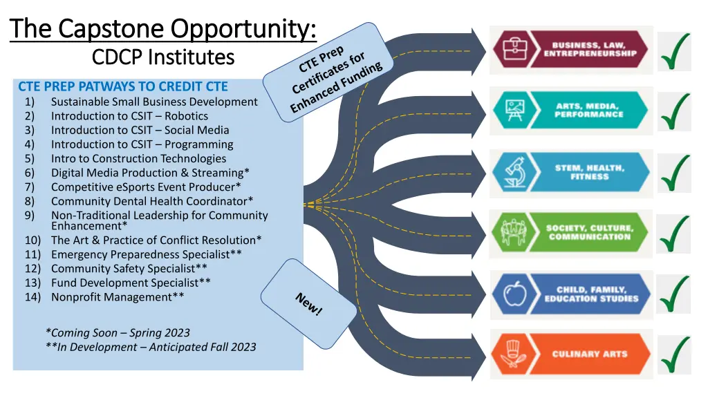 the capstone opportunity the capstone opportunity