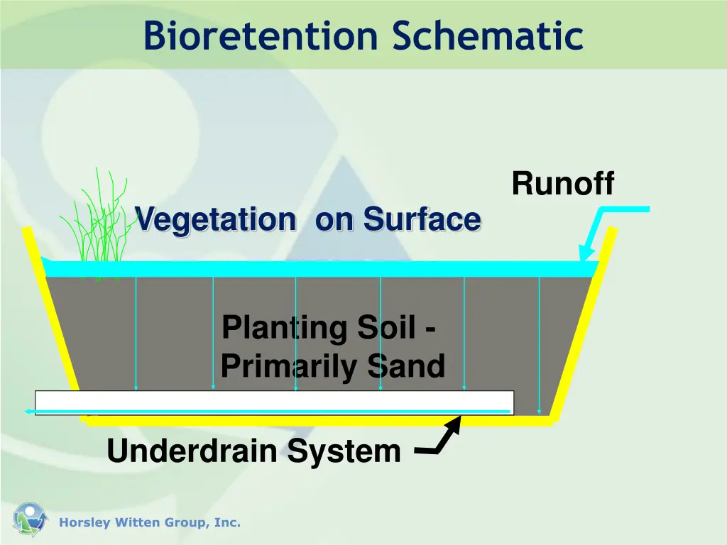 bioretention schematic